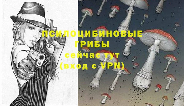 хмурый Киреевск
